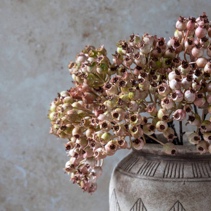 Rose Hip Bunch in Blush