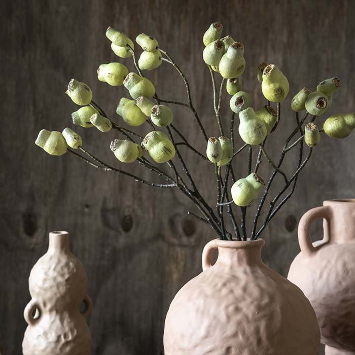 Eucalyptus Gum Nut - Buffalo