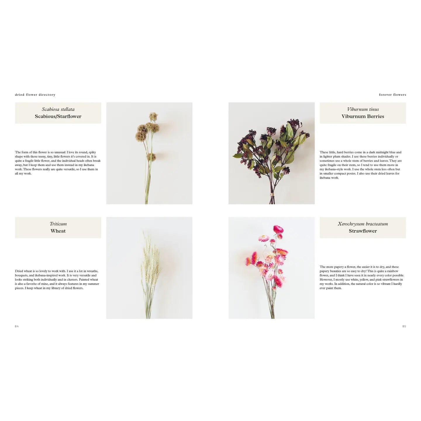 Forever Flowers: Dry, Preserve, Display - Buffalo