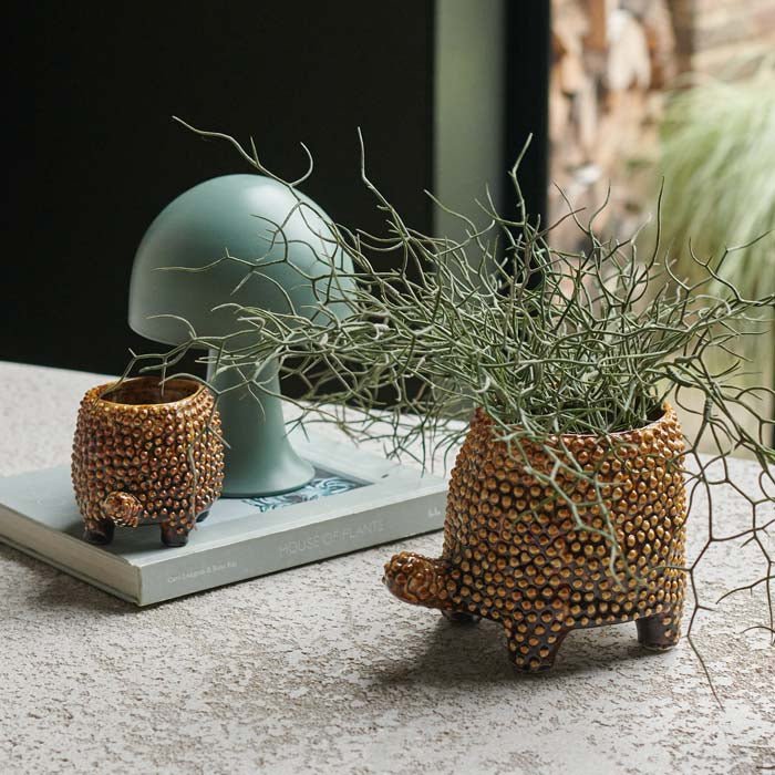 Tortoise Pot - Medium - Buffalo