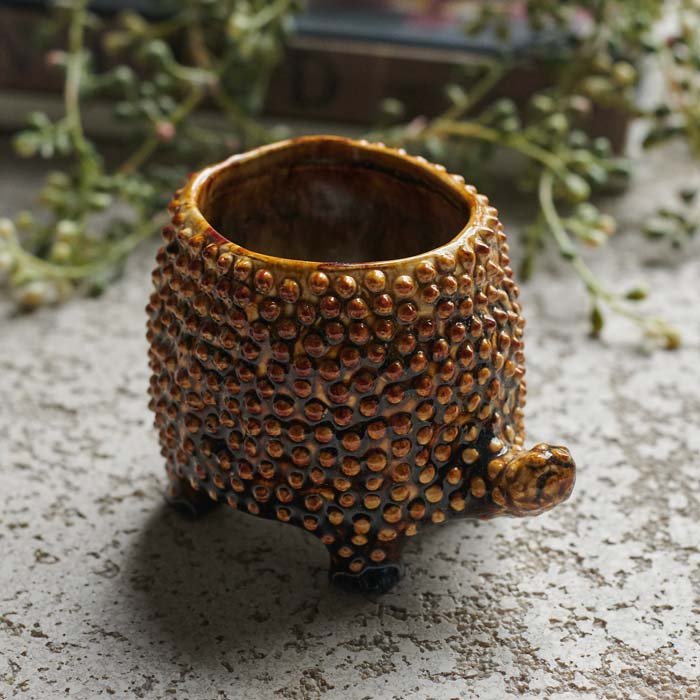Tortoise Pot - Medium - Buffalo