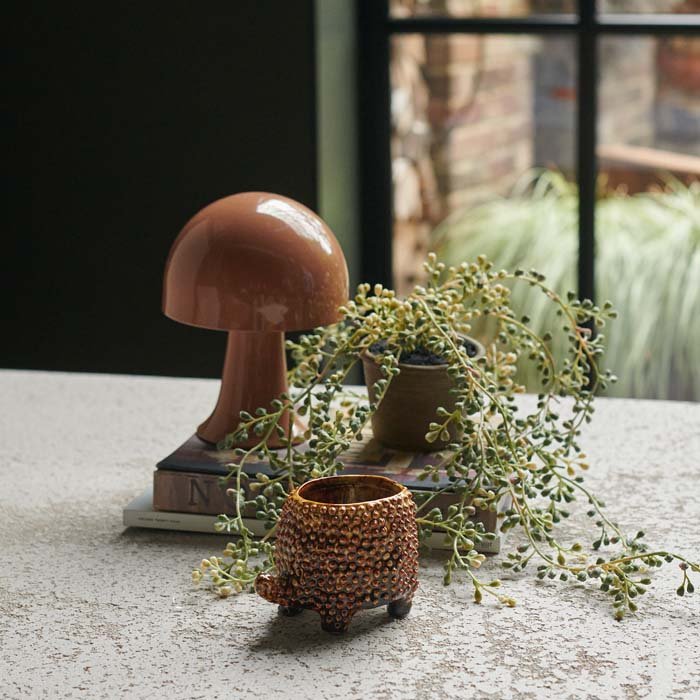 Tortoise Pot - Small - Buffalo