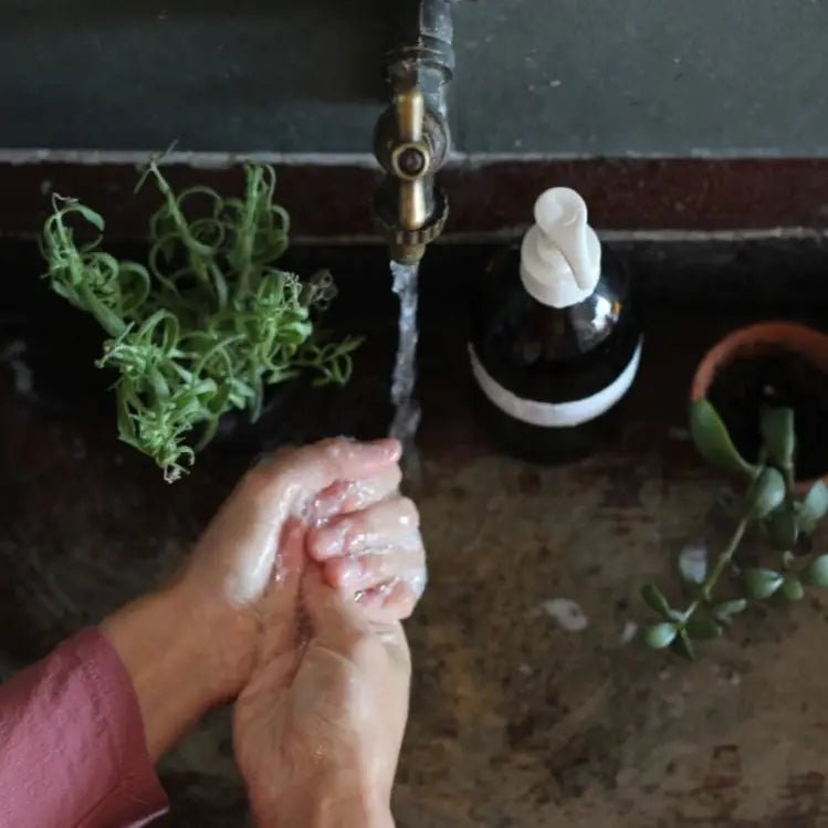 Bergamot and Rosemary Hand/Body Wash from Harvest - Buffalo