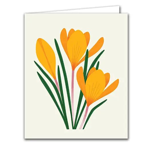Crocus - Buffalo
