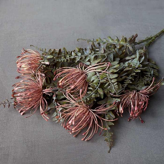 Leucospermum - Buffalo