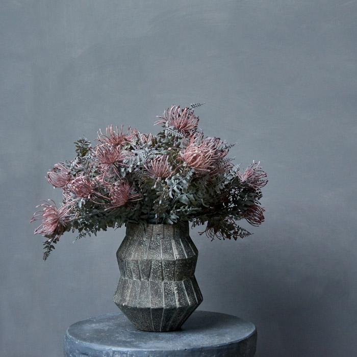 Leucospermum - Buffalo