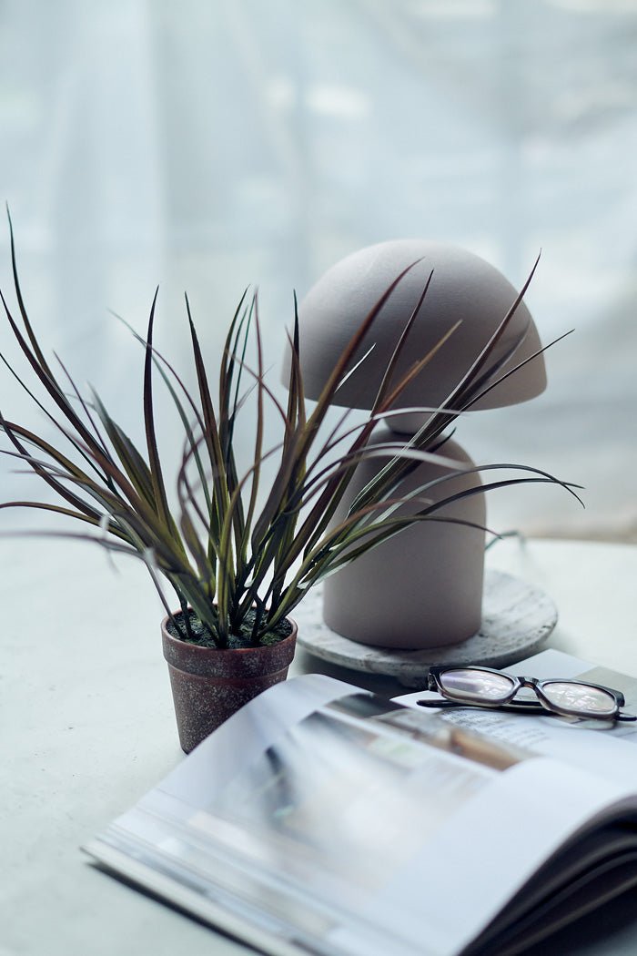 Ombre Grass in Pot - Buffalo