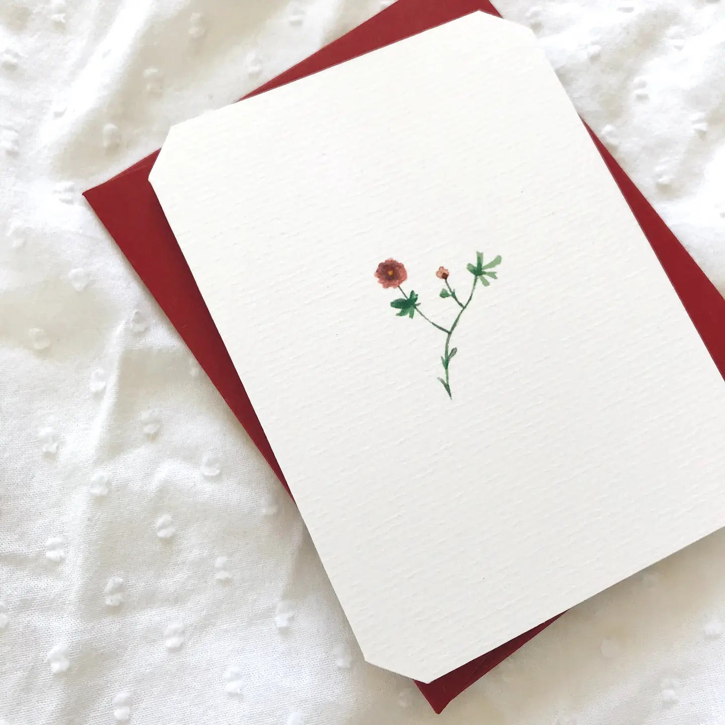 Petit Flora Collection - Buffalo