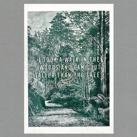 Walk in the Woods - Risograph Print - Buffalo