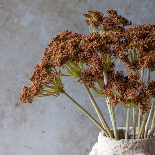 Yarrow Bunch - Henna - Buffalo