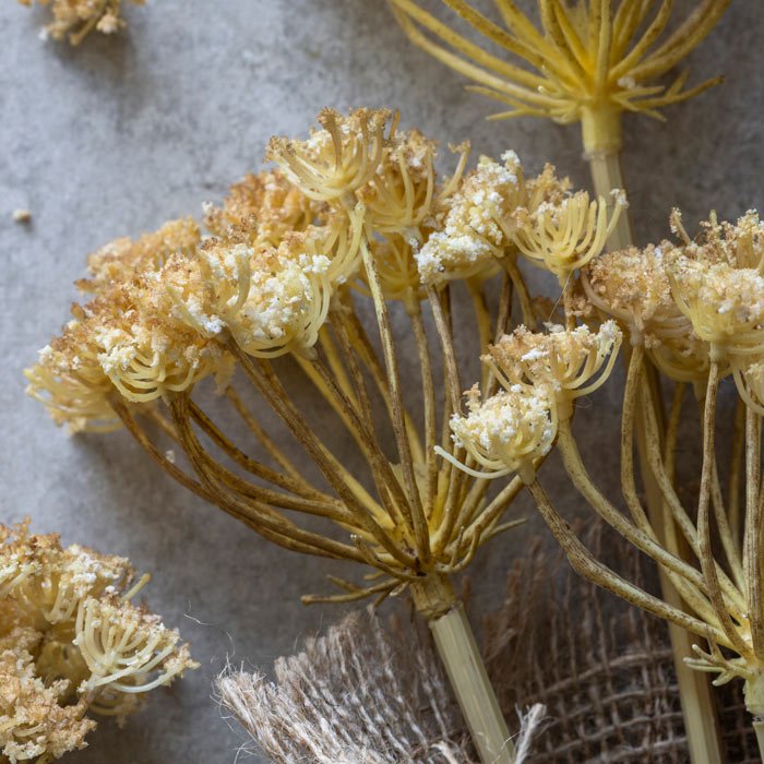 Yarrow Bunch - Yellow - Buffalo