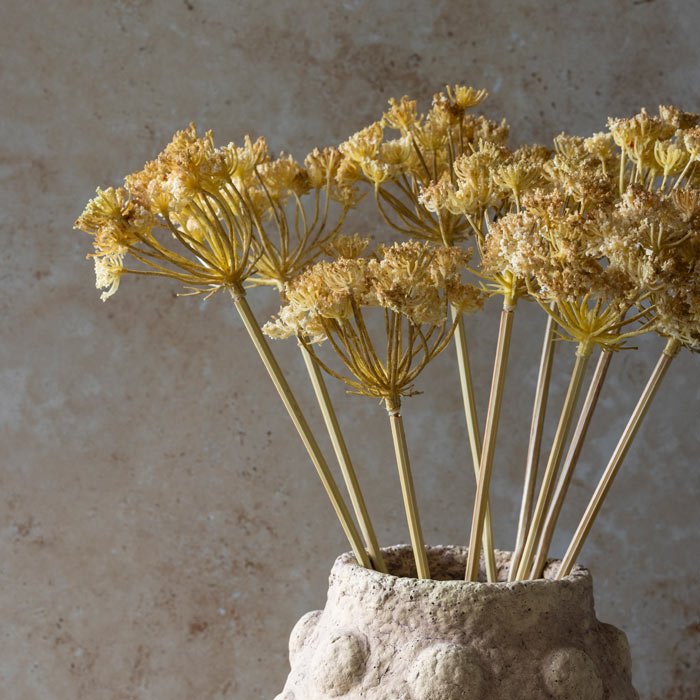 Yarrow Bunch - Yellow - Buffalo